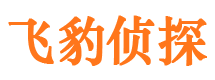 淮上市侦探调查公司